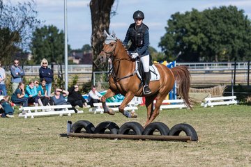 Bild 73 - Pony Akademie Turnier